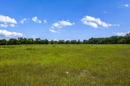 Country Home on 40 acres for Sale in Suwannee County, Florida - image 37