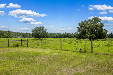 Country Home on 40 acres for Sale in Suwannee County, Florida - image 38