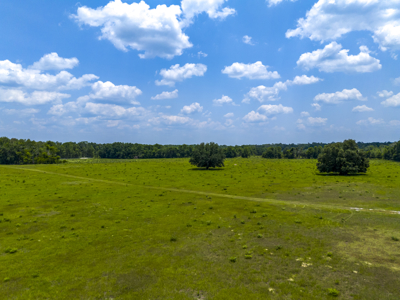 Country Home on 40 acres for Sale in Suwannee County, Florida - image 34