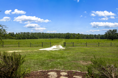 Country Home on 40 acres for Sale in Suwannee County, Florida - image 33