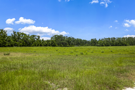 Country Home on 40 acres for Sale in Suwannee County, Florida - image 36