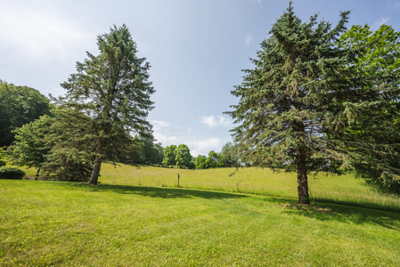 Brick Ranch for Sale at Auction in Floyd VA - image 12