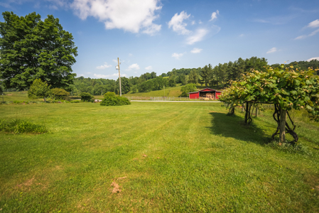 Brick Ranch for Sale at Auction in Floyd VA - image 11