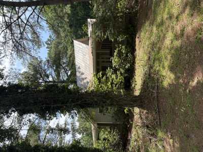 23-AC Country Retreat with 2 Homes in Pitt County, NC - image 3