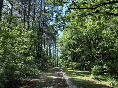 23-AC Country Retreat with 2 Homes in Pitt County, NC - image 20