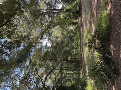 23-AC Country Retreat with 2 Homes in Pitt County, NC - image 26