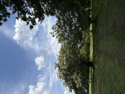 23-AC Country Retreat with 2 Homes in Pitt County, NC - image 24