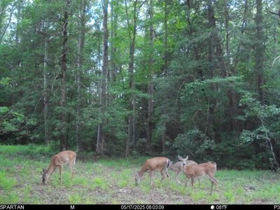 23-AC Country Retreat with 2 Homes in Pitt County, NC - image 33
