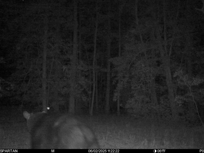 23-AC Country Retreat with 2 Homes in Pitt County, NC - image 30