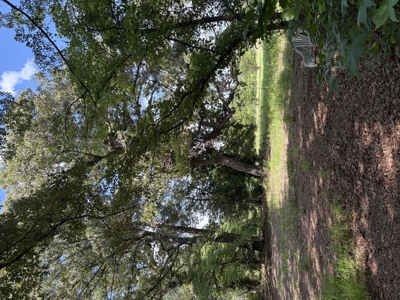 23-AC Country Retreat with 2 Homes in Pitt County, NC - image 27