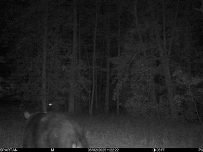 23-AC Country Retreat with 2 Homes in Pitt County, NC - image 31