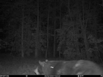 23-AC Country Retreat with 2 Homes in Pitt County, NC - image 29