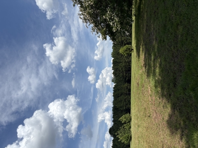 23-AC Country Retreat with 2 Homes in Pitt County, NC - image 25