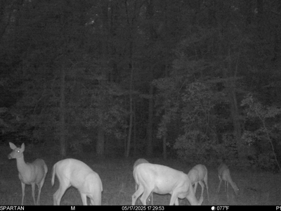 23-AC Country Retreat with 2 Homes in Pitt County, NC - image 32