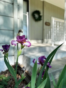 Clean & Affordable Home for Sale in El Dorado Springs, Missouri - image 27