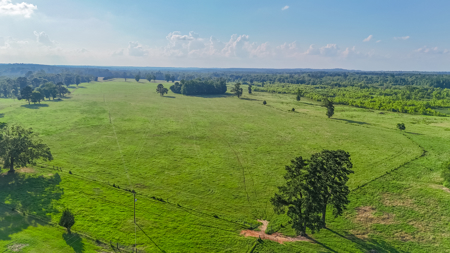 505 Acre Cattle Ranch Avinger Texas Cass County East TX Turnkey - image 21