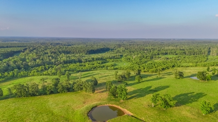 505 Acre Cattle Ranch Avinger Texas Cass County East TX Turnkey - image 30