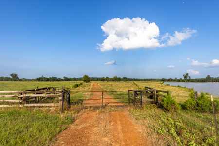 505 Acre Cattle Ranch Avinger Texas Cass County East TX Turnkey - image 33