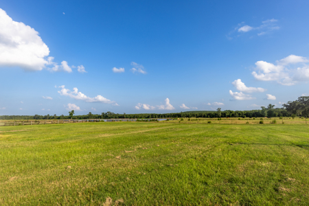 505 Acre Cattle Ranch Avinger Texas Cass County East TX Turnkey - image 5