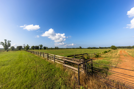 505 Acre Cattle Ranch Avinger Texas Cass County East TX Turnkey - image 7