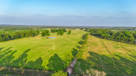 505 Acre Cattle Ranch Avinger Texas Cass County East TX Turnkey - image 27