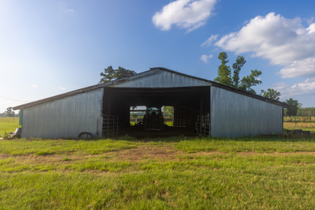 505 Acre Cattle Ranch Avinger Texas Cass County East TX Turnkey - image 22