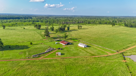 505 Acre Cattle Ranch Avinger Texas Cass County East TX Turnkey - image 24