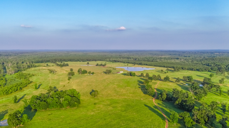 505 Acre Cattle Ranch Avinger Texas Cass County East TX Turnkey - image 4