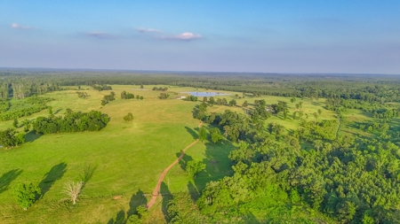 505 Acre Cattle Ranch Avinger Texas Cass County East TX Turnkey - image 29
