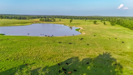 505 Acre Cattle Ranch Avinger Texas Cass County East TX Turnkey - image 2