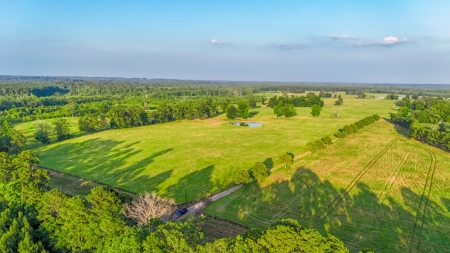 505 Acre Cattle Ranch Avinger Texas Cass County East TX Turnkey - image 28