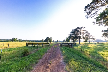 505 Acre Cattle Ranch Avinger Texas Cass County East TX Turnkey - image 32