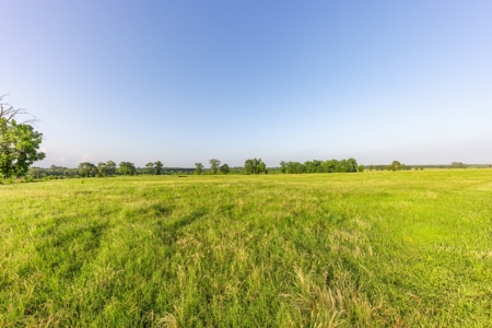 505 Acre Cattle Ranch Avinger Texas Cass County East TX Turnkey - image 26
