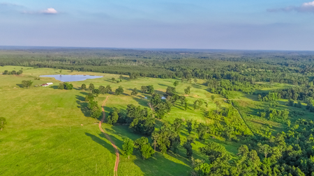 505 Acre Cattle Ranch Avinger Texas Cass County East TX Turnkey - image 3