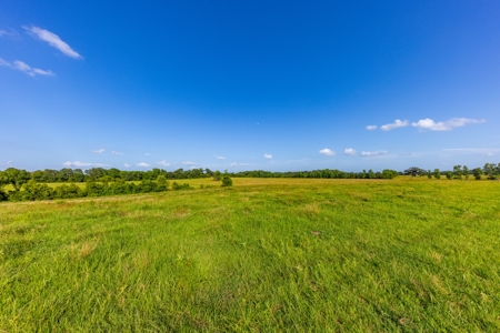 505 Acre Cattle Ranch Avinger Texas Cass County East TX Turnkey - image 31