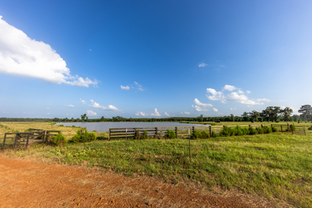 505 Acre Cattle Ranch Avinger Texas Cass County East TX Turnkey - image 6
