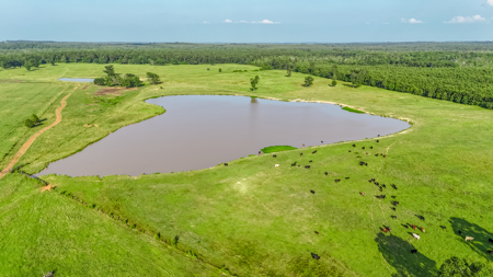505 Acre Cattle Ranch Avinger Texas Cass County East TX Turnkey - image 25
