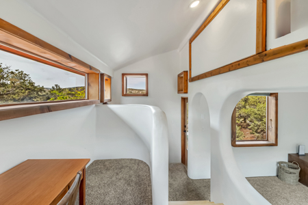 Glade Park, CO home on 45 acres for sale - image 33