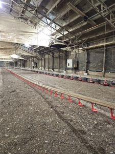 6 House Poultry Broiler Turnkey Farm with 40 Acres SW MS - image 35