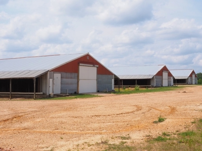 6 House Poultry Broiler Turnkey Farm with 40 Acres SW MS - image 3