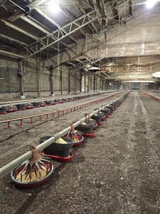 6 House Poultry Broiler Turnkey Farm with 40 Acres SW MS - image 34