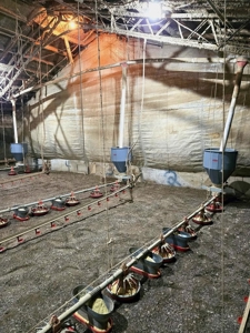 6 House Poultry Broiler Turnkey Farm with 40 Acres SW MS - image 36