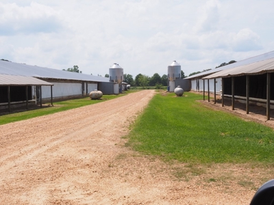 6 House Poultry Broiler Turnkey Farm with 40 Acres SW MS - image 15