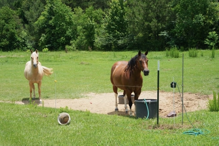 6 House Poultry Broiler Turnkey Farm with 40 Acres SW MS - image 41