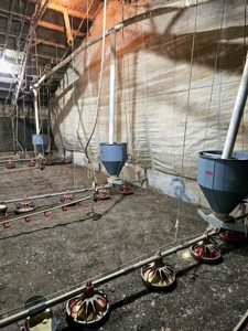 6 House Poultry Broiler Turnkey Farm with 40 Acres SW MS - image 37