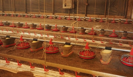 6 House Poultry Broiler Turnkey Farm with 40 Acres SW MS - image 14