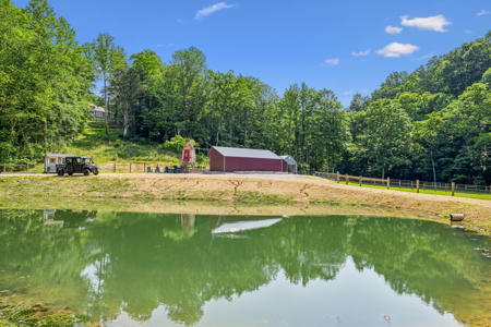 Country Home/Equine Property for Sale - image 26