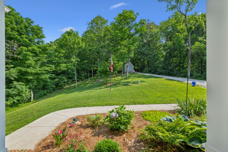 Country Home/Equine Property for Sale - image 4