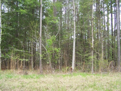 2 Wooded Lake View Lots on Lake Monticello Recreational Lake - image 6
