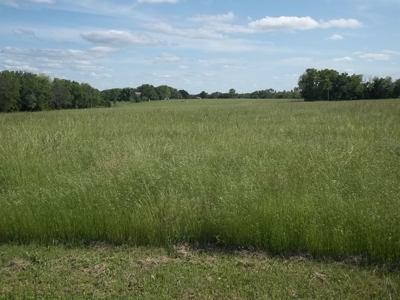 Exceptional Country Property for Sale in Chanute, KS - image 17